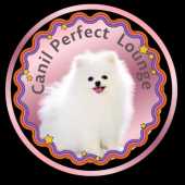 Canil e Gatil Perfect Lounge  